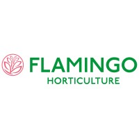 Flamingo Horticulture