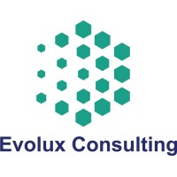 Evolux Consulting