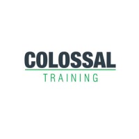 Colossal Training