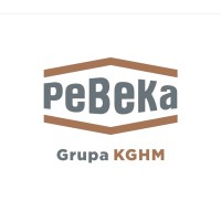 Przedsiębiorstwo Budowy Kopalń PeBeKa SA