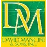 DAVID MANCINI & SONS, INC.