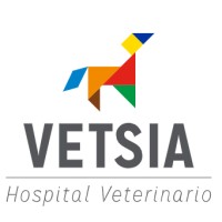 VETSIA Hospital Veterinario