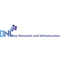 Blue Networks and Infrastructure (PTY) Ltd