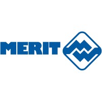 Merit Automotive Electronics Systems.