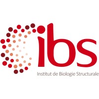 Institut de Biologie Structurale (IBS)