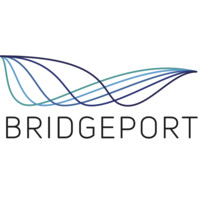 Bridgeport Consulting, LLC