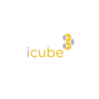 iCube - Direction informatique Castel