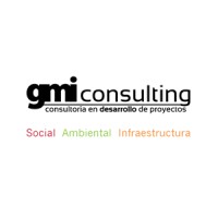 GMI Consulting, Consultoría en Desarrollo de Proyectos