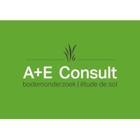 A+E Consult