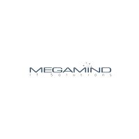 Megamind IT Solutions