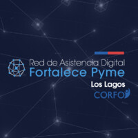 Red de Asistencia Digital Fortalece Pyme Los Lagos