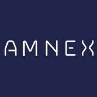 Amnex Infotechnologies 