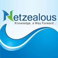 NetZealous-LLC