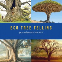 Eco Tree Felling