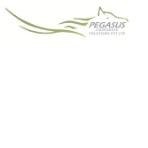 Pegasus Corporate