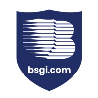Berkshire Systems Group Inc (BSGI)