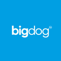 bigdog Agency