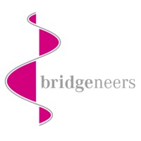bridgeneers
