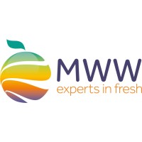 Minor, Weir and Willis Ltd