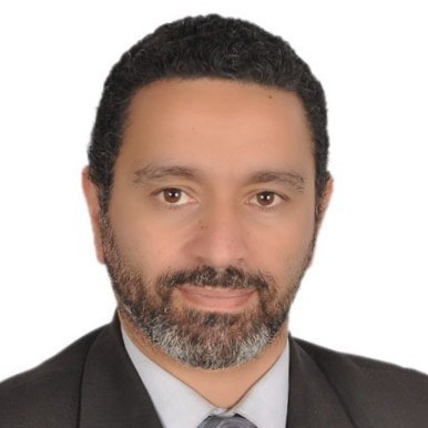 Walid Radwan PMP