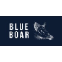 Blue Boar Consultancy