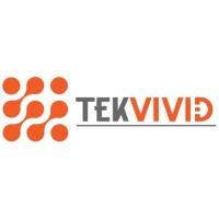 TekVivid, Inc