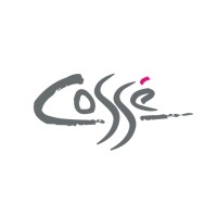 COSSE Ltd
