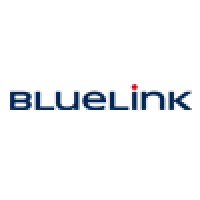 BlueLink International CZ