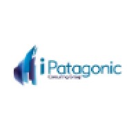 iPatagonic Consulting Group