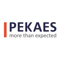 PEKAES Group
