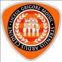 ”Grigore Moisil” High School, Timisoara