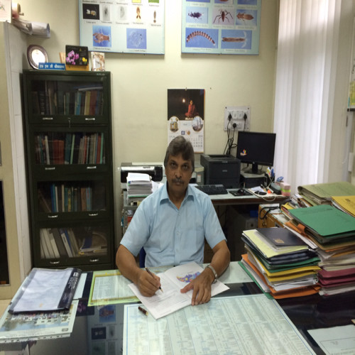Dr Naresh Gopal Shrivastava