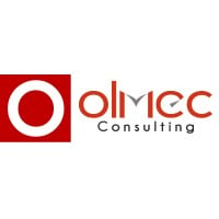 Olmec Consulting