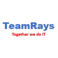 Team Rays, LLC