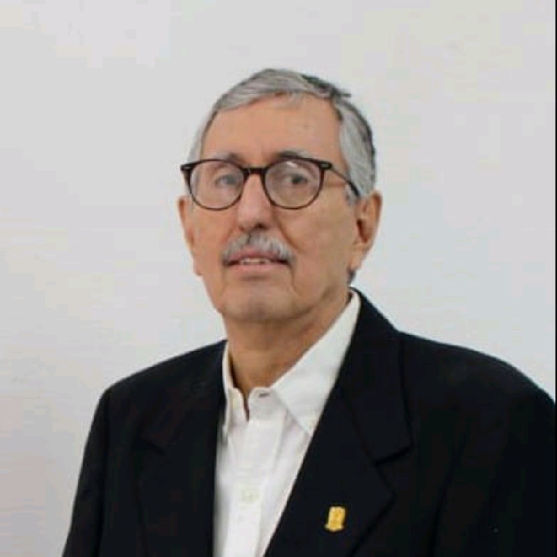 Lerins Varela Castro