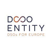 EU DSO Entity