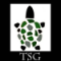 The Turtlestone Group