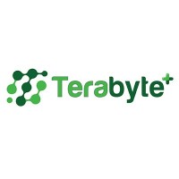 TERABYTE Plus Public Co., Ltd.