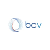 Bcv (basecamp vascular)