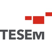 TESEM Group