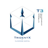 TridentX by FlatStone Capital Markets Inc.