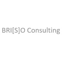 BRIZO Consulting Deutschland GmbH