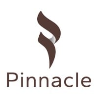 Pinnacle Misr