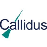 Callidus Process Solutions