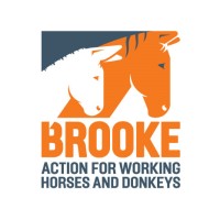 Brooke, Action For Working Horses and Donkeys