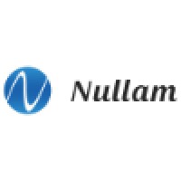 Nullam Consulting Services