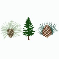 Pine Needles | Mid Pines | Southern Pines Resort