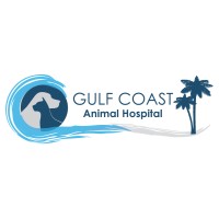 Gulf Coast Animal Hospital