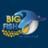 The Bigfish online services