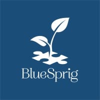 BlueSprig - formerly Shape of Behavior